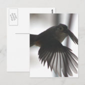 Carte Postale Sur l'aile (Devant / Derrière)