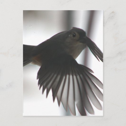 Carte Postale Sur l'aile (Devant)