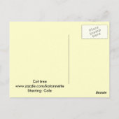 Carte Postale sur l'arbre du chat (Dos)