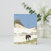 Carte Postale "Sur le bord" (Debout devant)