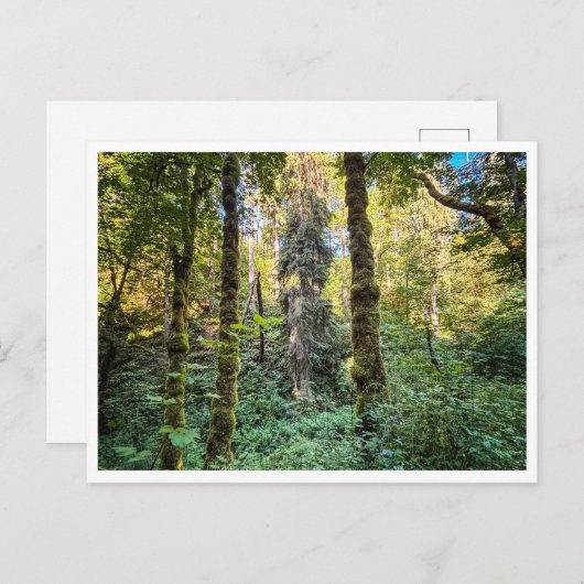 Carte Postale Sur le chemin (Devant / Derrière)