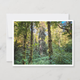 Carte Postale Sur le chemin