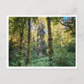 Carte Postale Sur le chemin (Devant)