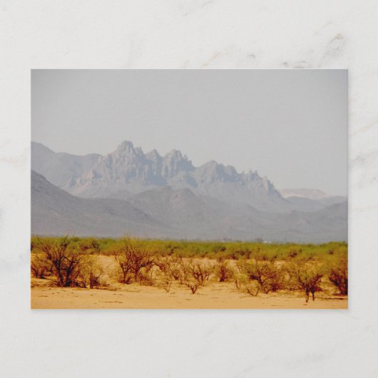 Carte Postale sur le chemin de Lordsburg, NM (Devant)