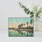 Carte Postale Sur le fleuve Miami, rare Photochrom (Debout devant)