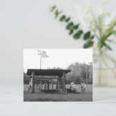 Carte Postale Sur le Ranch - - Vaches - Noir et Blanc (Debout devant)