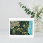 Carte Postale Sur le sentier, à cheval au mont Lowe (Debout devant)