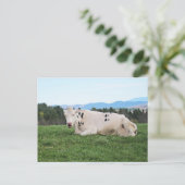 Carte Postale Sur le terrain (Debout devant)