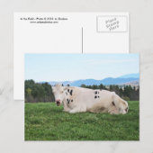 Carte Postale Sur le terrain (Devant / Derrière)