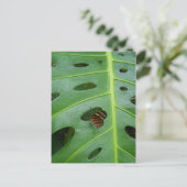 Carte Postale Sur le vert (Debout devant)