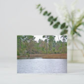 Carte Postale Sur L'Eau (Debout devant)