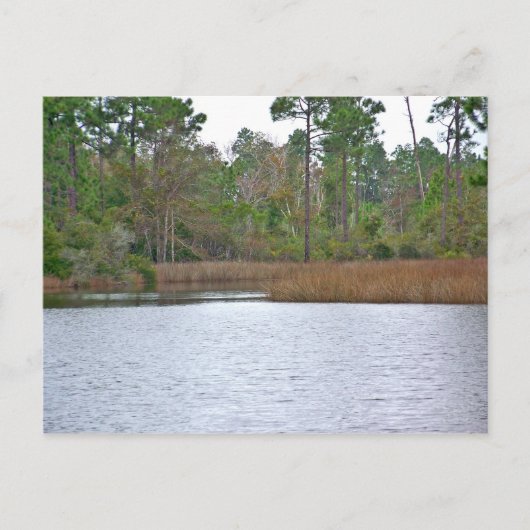 Carte Postale Sur L'Eau (Devant)