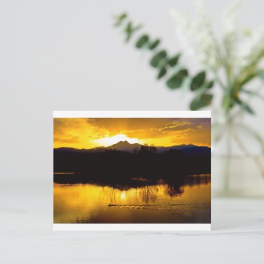 Carte Postale Sur les étangs d'or (Debout devant)