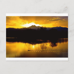 Carte Postale Sur les étangs d'or