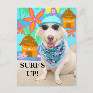 CARTE POSTALE SURF !