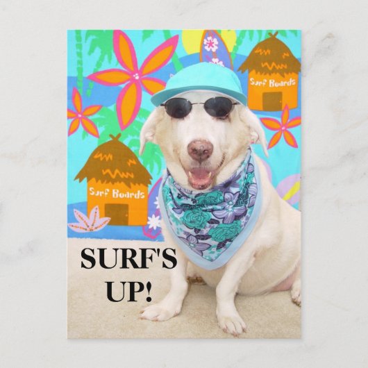 CARTE POSTALE SURF ! (Devant)