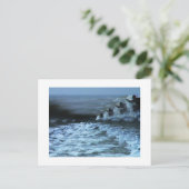 CARTE POSTALE SURF 2 (Debout devant)