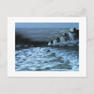 CARTE POSTALE SURF 2