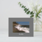 Carte postale Surf Acadia - 1 (Debout devant)
