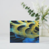 Carte Postale Surface de la plume 4 (Debout devant)