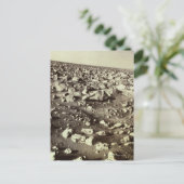 Carte Postale Surface de Mars (Debout devant)