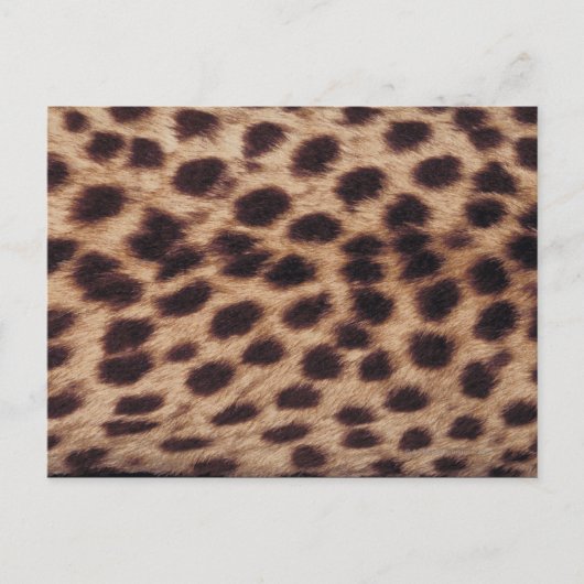 Carte Postale Surface du félin tacheté (Devant)