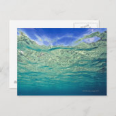 Carte Postale Surface d'une mer topique claire vue de (Devant / Derrière)