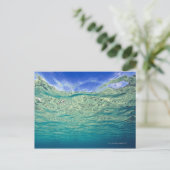 Carte Postale Surface d'une mer topique claire vue de (Debout devant)