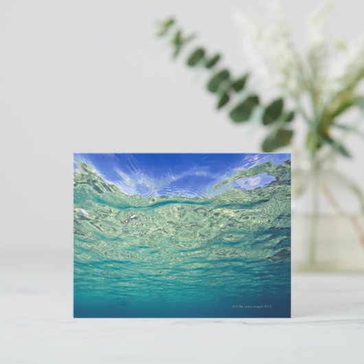 Carte Postale Surface d'une mer topique claire vue de (Debout devant)