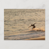 Carte Postale Surfer Dude (Devant)