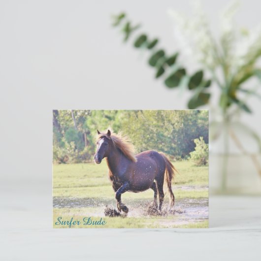 Carte Postale Surfer Dude Wading (Debout devant)