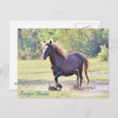 Carte Postale Surfer Dude Wading (Devant / Derrière)