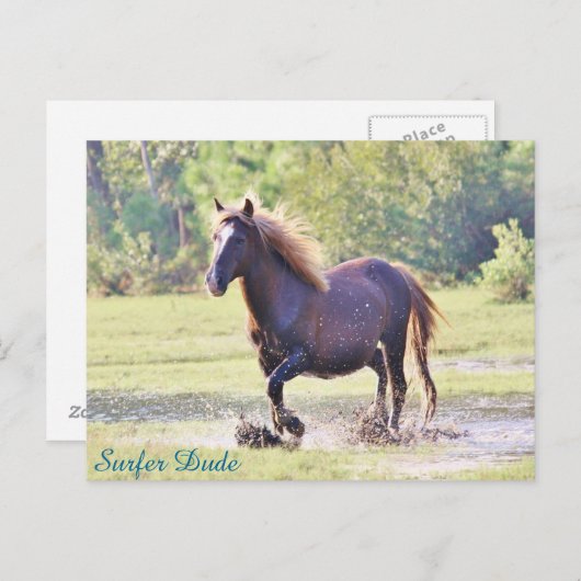 Carte Postale Surfer Dude Wading (Devant / Derrière)