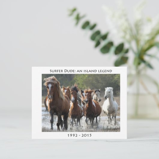 Carte Postale Surfer Et Son Groupe (Debout devant)