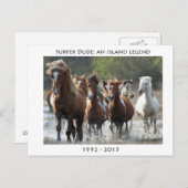 Carte Postale Surfer Et Son Groupe (Devant / Derrière)