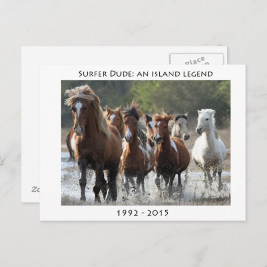 Carte Postale Surfer Et Son Groupe (Devant / Derrière)