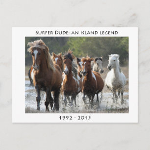 Carte Postale Surfer Et Son Groupe