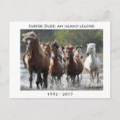 Carte Postale Surfer Et Son Groupe (Devant)