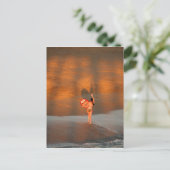 Carte postale Surfer Girl (Debout devant)