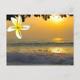 Carte Postale Surfers hawaïens