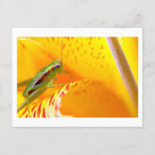 Carte Postale surfeur de fleurs