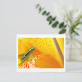 Carte Postale surfeur de fleurs (Debout devant)
