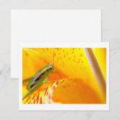 Carte Postale surfeur de fleurs (Devant / Derrière)