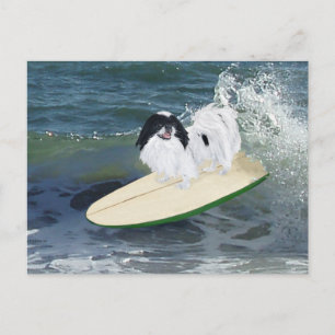 Carte Postale Surfing de Chin Japonais