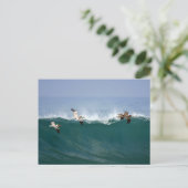 Carte Postale Surfing de Pelican (Debout devant)
