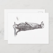 CARTE POSTALE SURICATA. MEERKAT (Devant / Derrière)