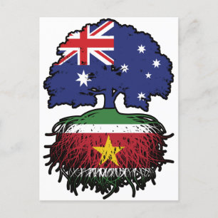 Carte Postale Suriname Surinamais Australie Australie racine arb
