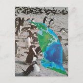 Carte Postale Surreal Penguins wildlife collage (Devant)