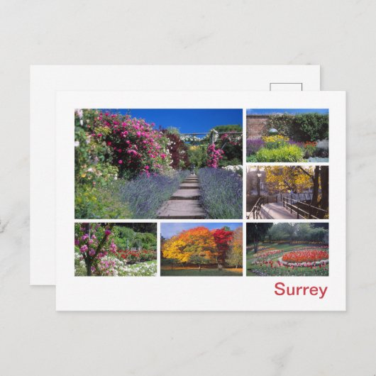 Carte Postale Surrey (Devant / Derrière)