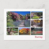 Carte Postale Surrey (Devant)